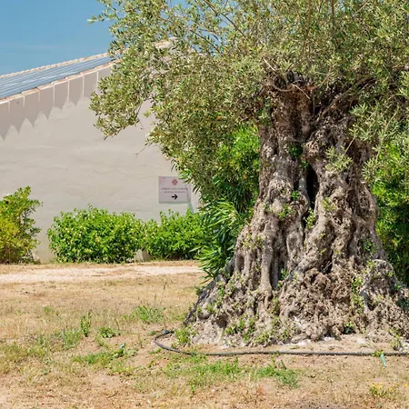 Borgo Alba Barona Turismo Rurale מלון